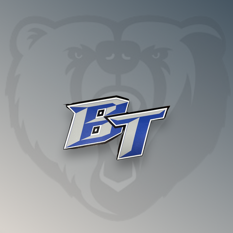 BT magnet